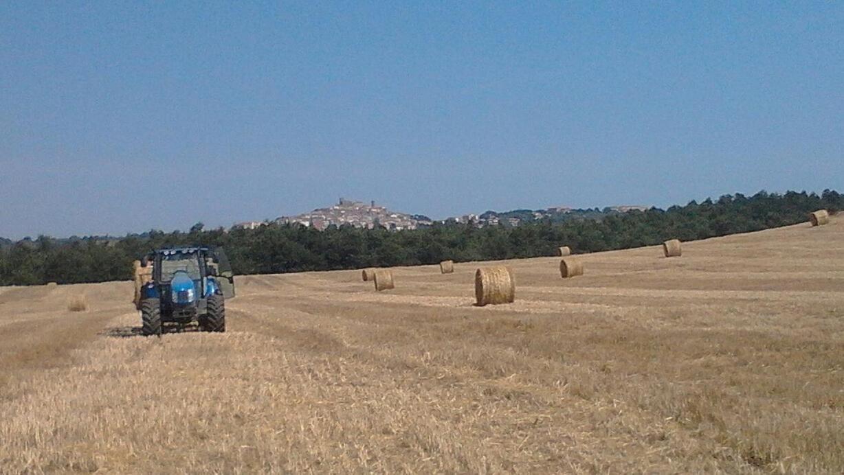 만시아노 Il Laghetto Agriturismo 빌라 외부 사진